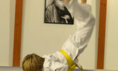 Aikido Dojo Südstern – Kinder Training