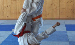 Aikido Dojo Südstern – Kinder Training