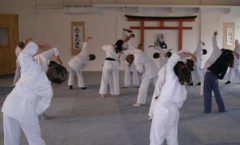 Aikido Dojo Südstern – Kinder Training